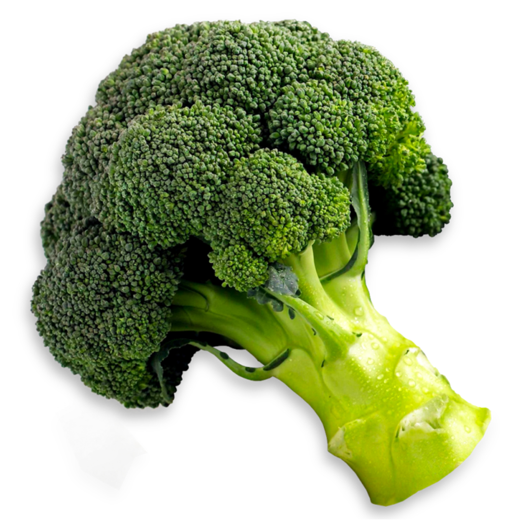 류마티스 관절염과 관련된 사진입니다.