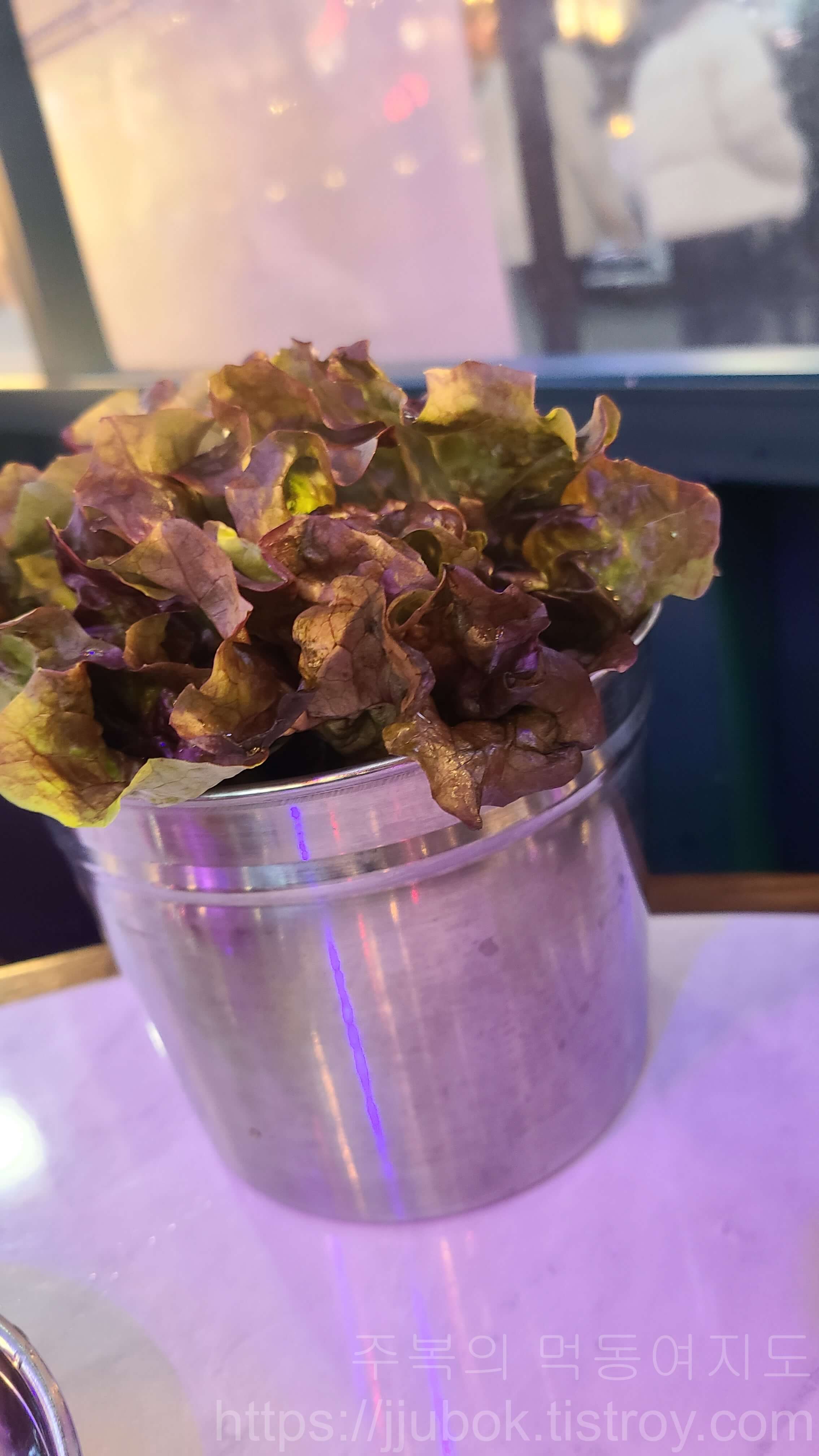 돼슐랭-삼산점-밑반찬-상추