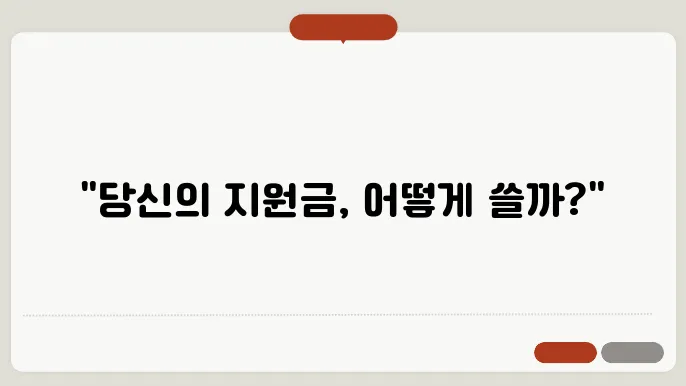 민생 지원금 사용처