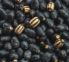 심근경색에 좋은 음식 영양제 식단