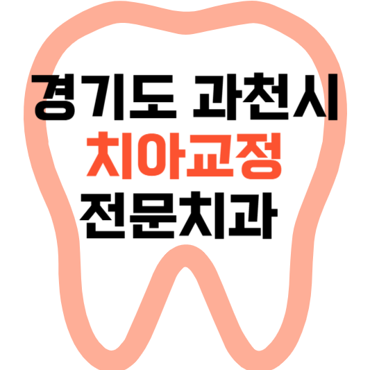 경기도 과천시 치아교정 치과 잘하는 곳 전문 치과 추천 가격 비용.png