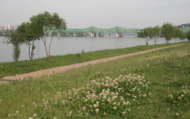 한강버스 시범운행