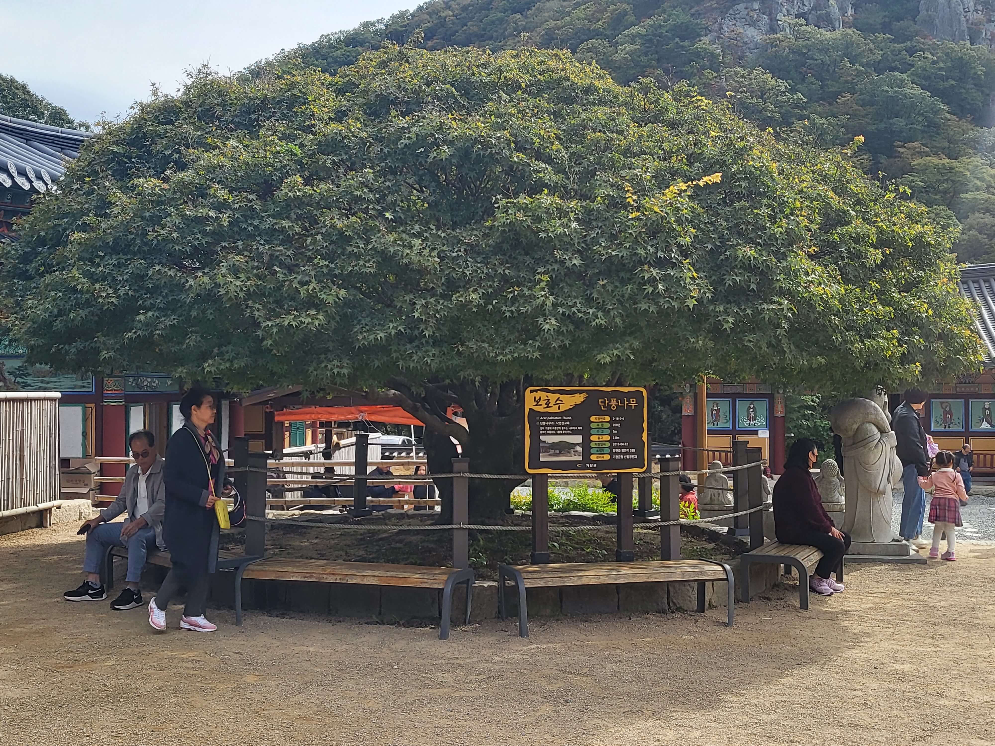 천년 고찰 장안사, 둘레 길을 따라 올라가면 운치 있는 백련암과 절벽 같은 곳의 척판암