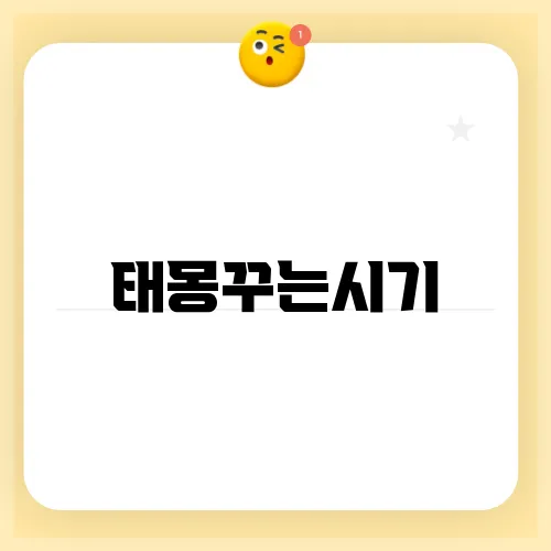 태몽꾸는시기