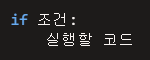 if문의 기본구조