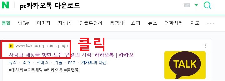 카톡 홈페이지 링크 보임