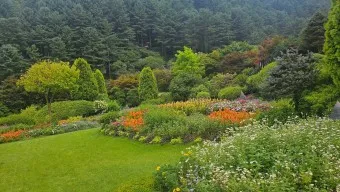 아침고요수목원 입장료 근처 맛집 펜션 추천_14