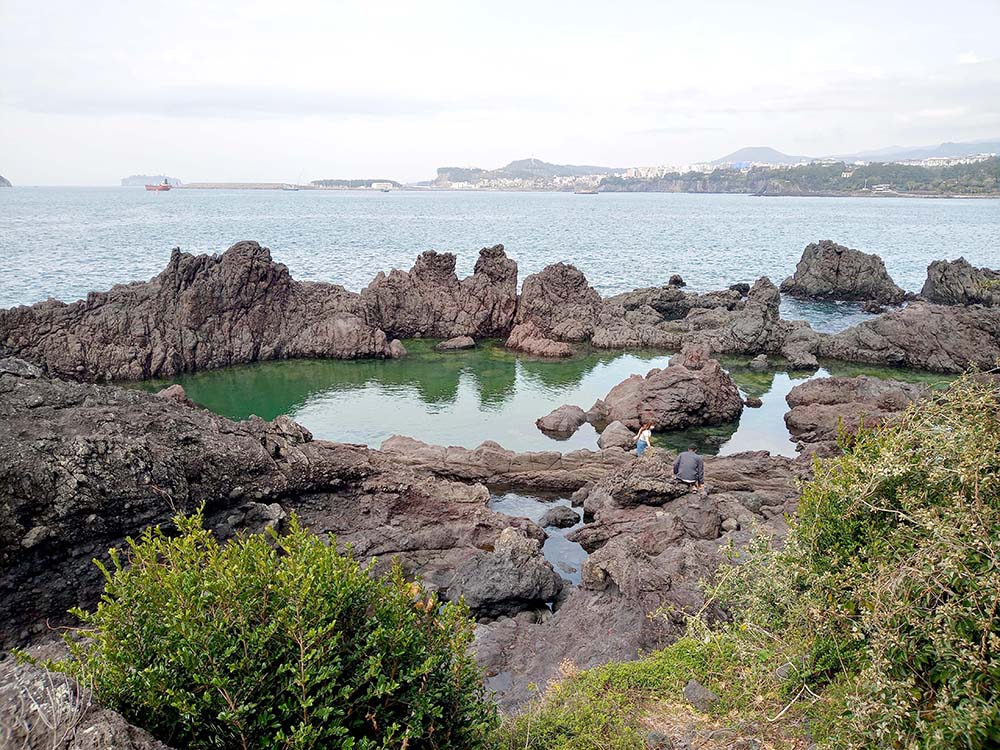 올레6코스: 소천지