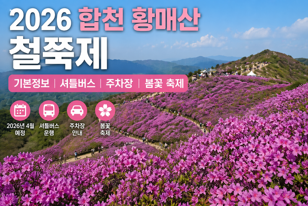 2026 합천 황매산 철쭉제 일정 주차 셔틀버스 3분 완벽 정리