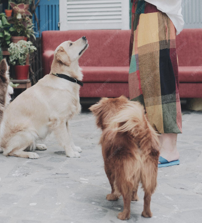 키즈 케어 → 펫 케어로 이동하는 소비 흐름