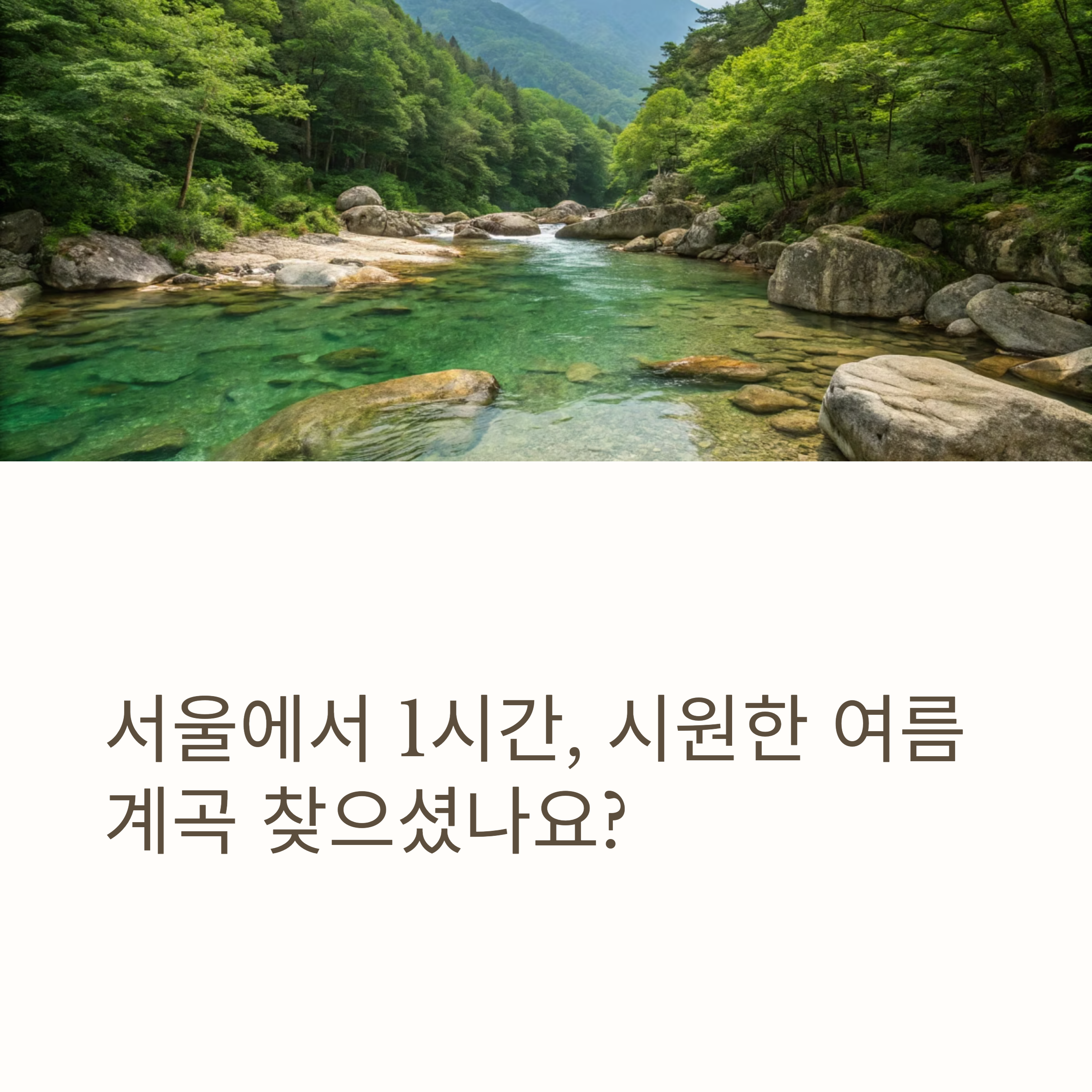 서울에서 1시간, 시원한 여름 계곡 찾으셨나요?