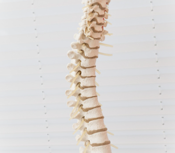 디스크 관련 원인