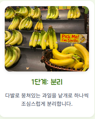바나나 보관법