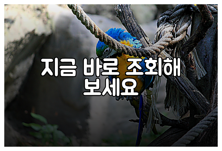 지금 바로 조회해 보세요