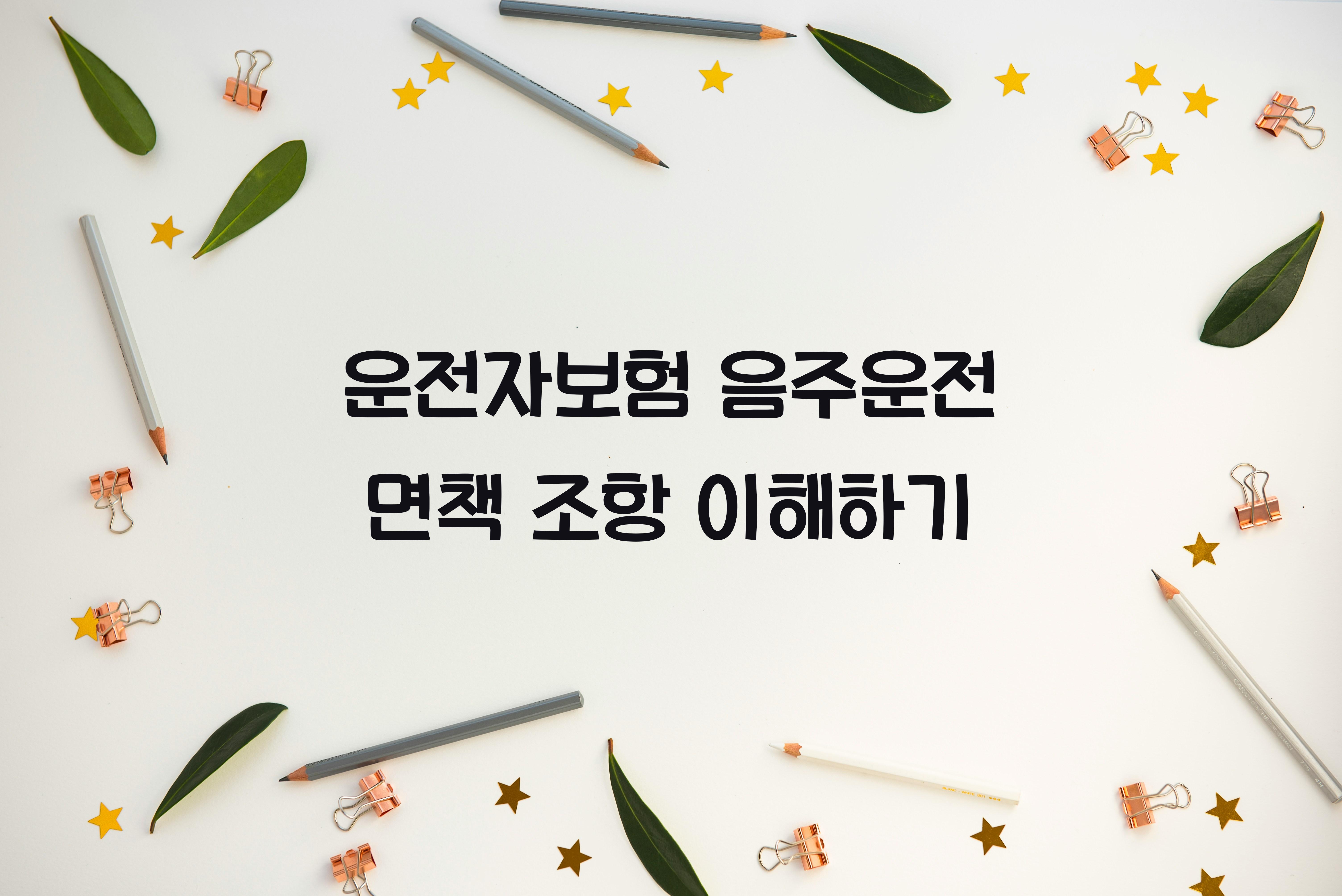 운전자보험 음주운전 면책 조항