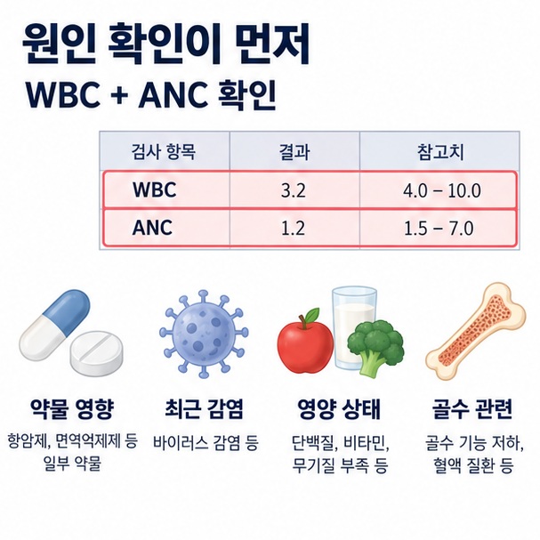 백혈구와 호중구 수치를 확인하고 원인을 살피는 과정을 표현한 이미지