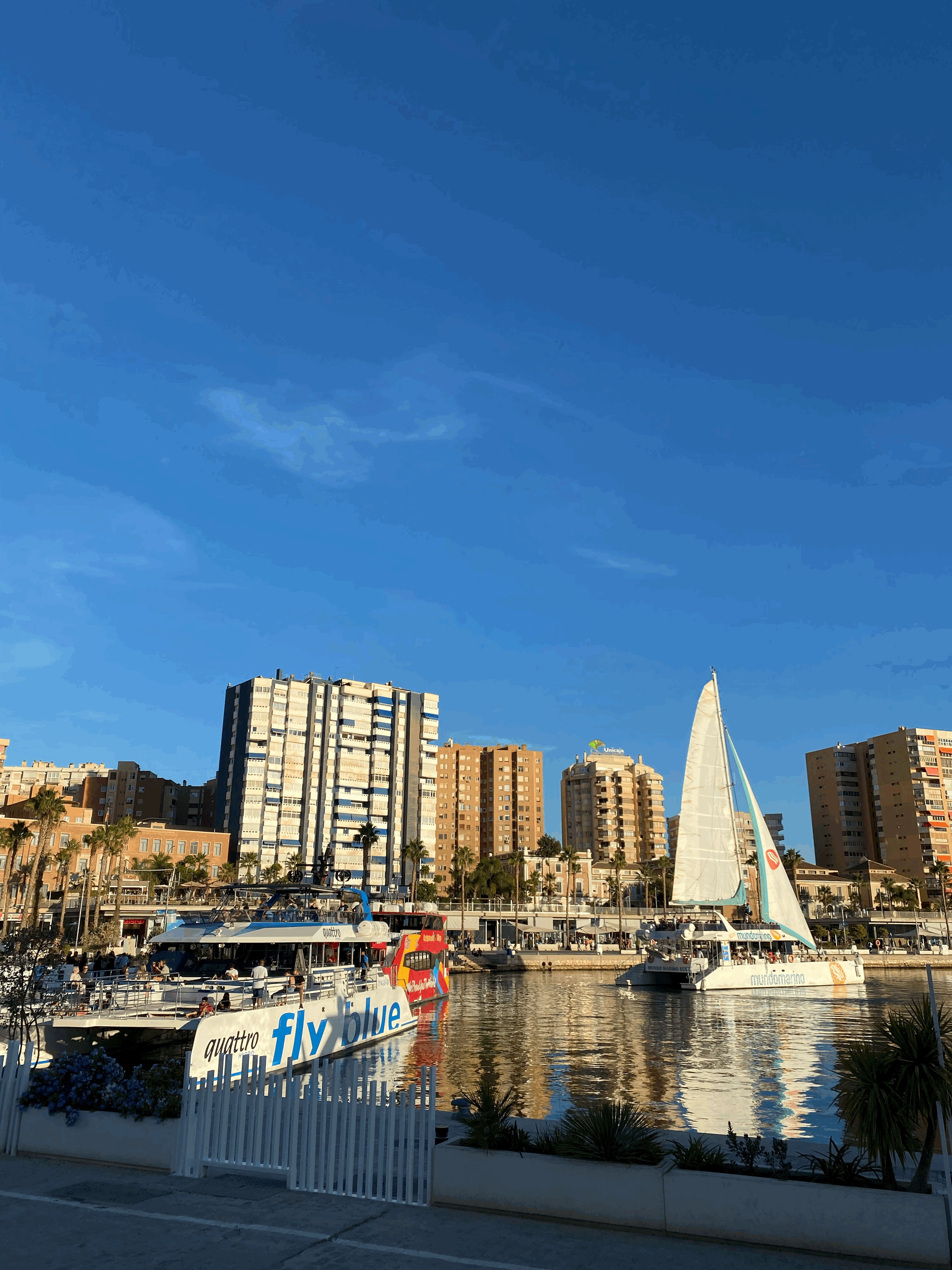 항구에 있는 요트와 배