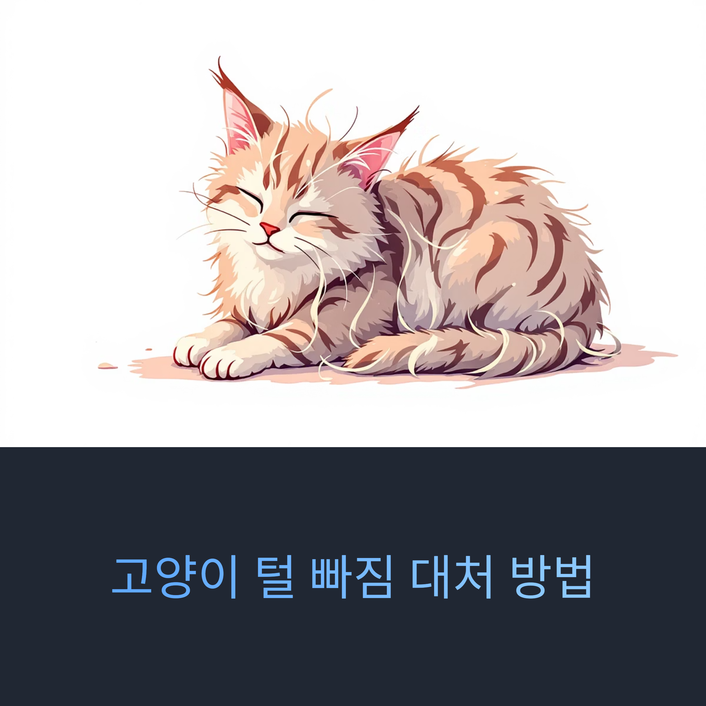 고양이 털 빠짐 대처 방법