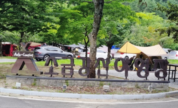 소금강산야영장 모습