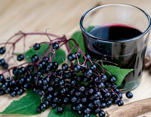 엘더베리 효능, 부작용