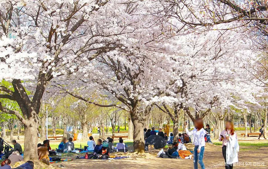 서울숲2