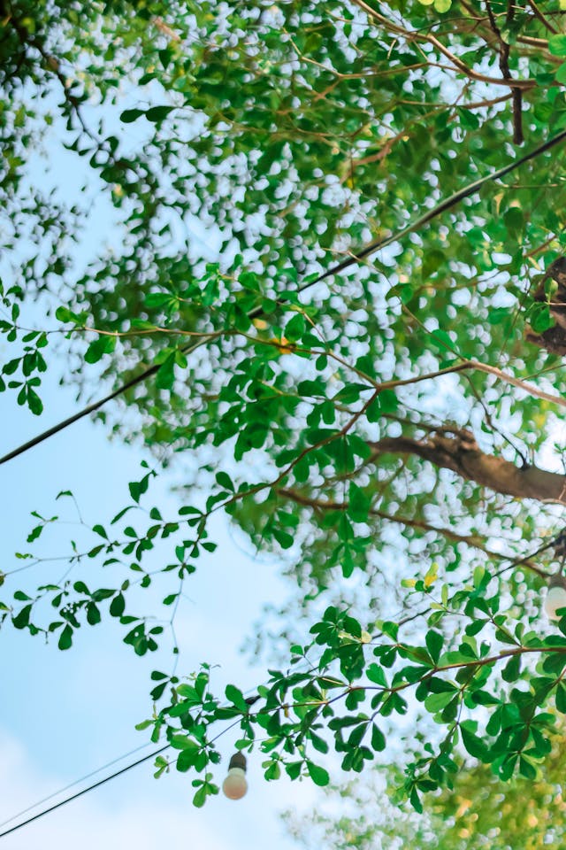 2025년 9월 1일부터 28일까지 한 달 전국 날씨 예보2