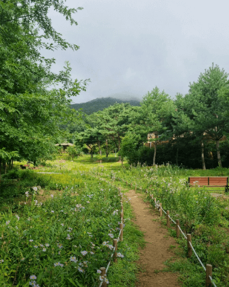 힐링 아토피 치유 산책길
