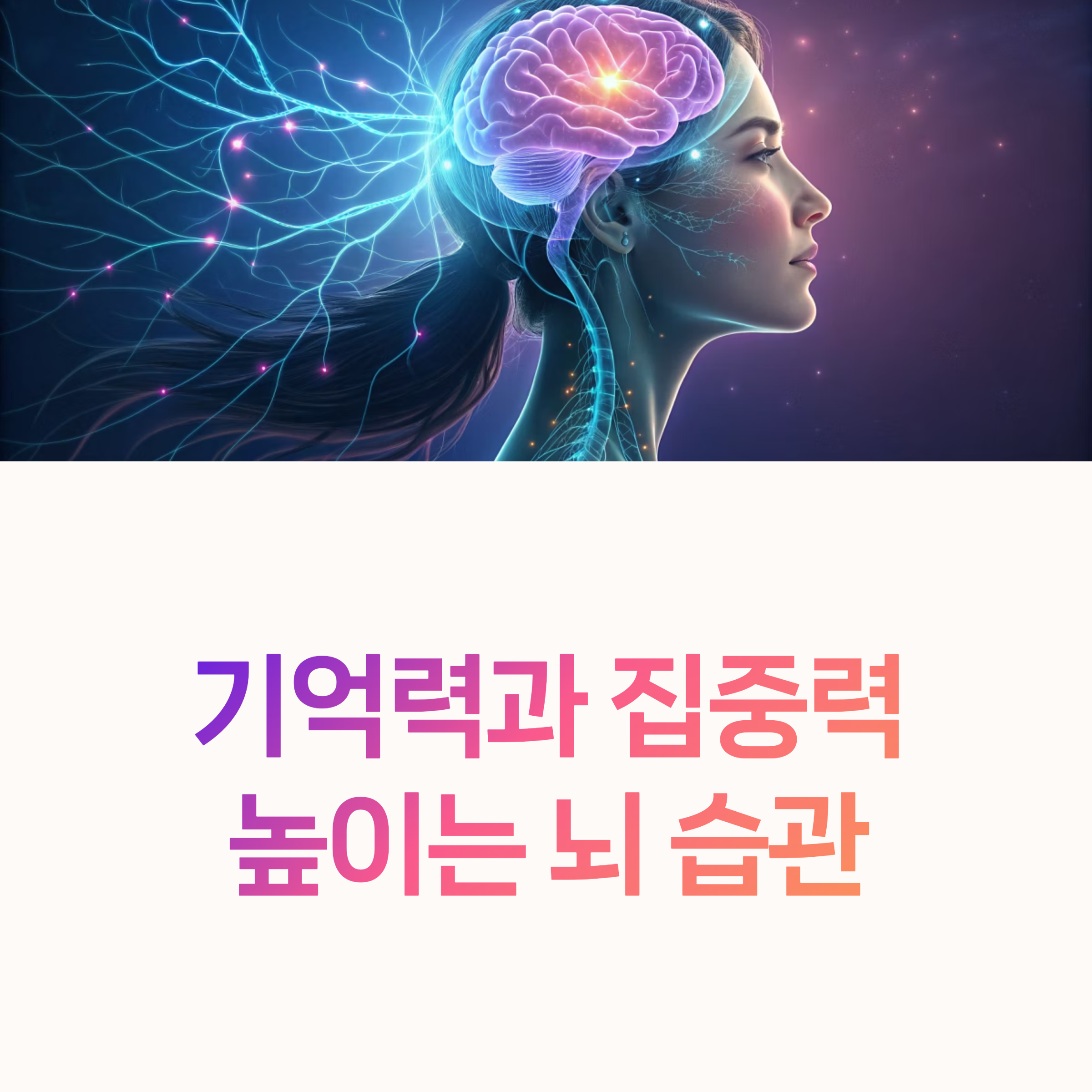 기억력 훈련 집중력 올리는 뇌 습관