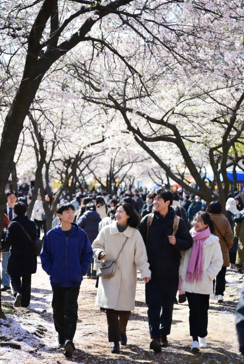 2026 광양 매화축제 행사기간(+만개시기+입장료+운영시간+주차장)