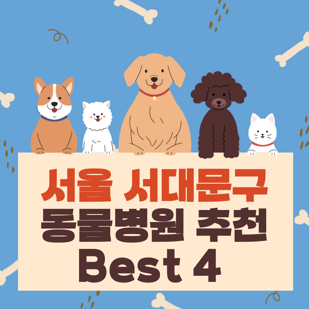 서울 서대문구 동물병원 추천