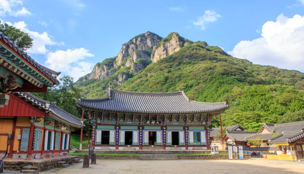 내장산 백양사