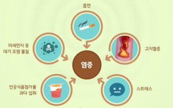 만성염증 유발