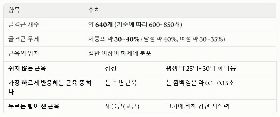 수치로 보는 근육