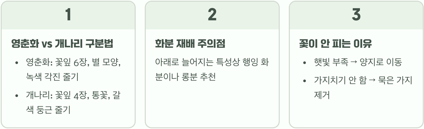 초보자도 풍성하게, 영춘화 키우기 물주기부터 월동까지 A to Z