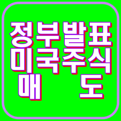 정부발표 미국주식매도