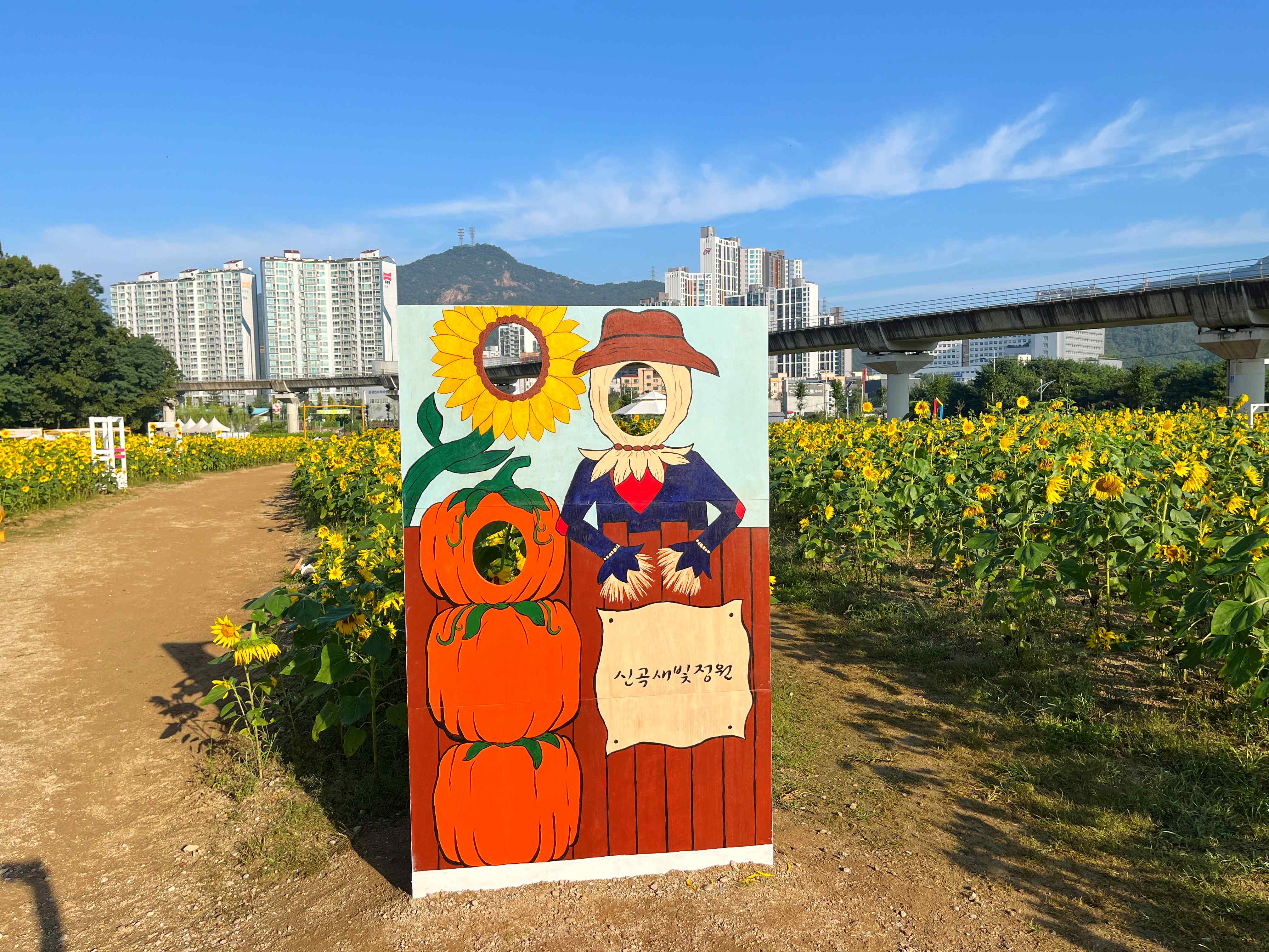 신곡새빛정원 해바라기 