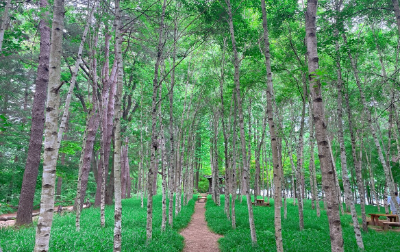 남이섬 여행