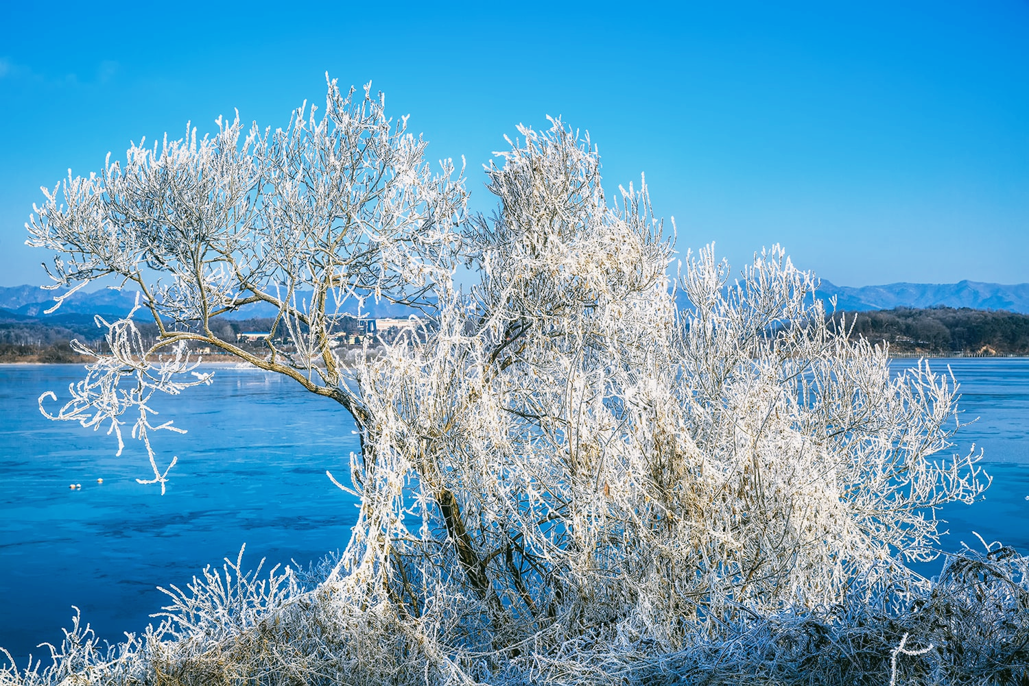 춘천 상고대 명소12