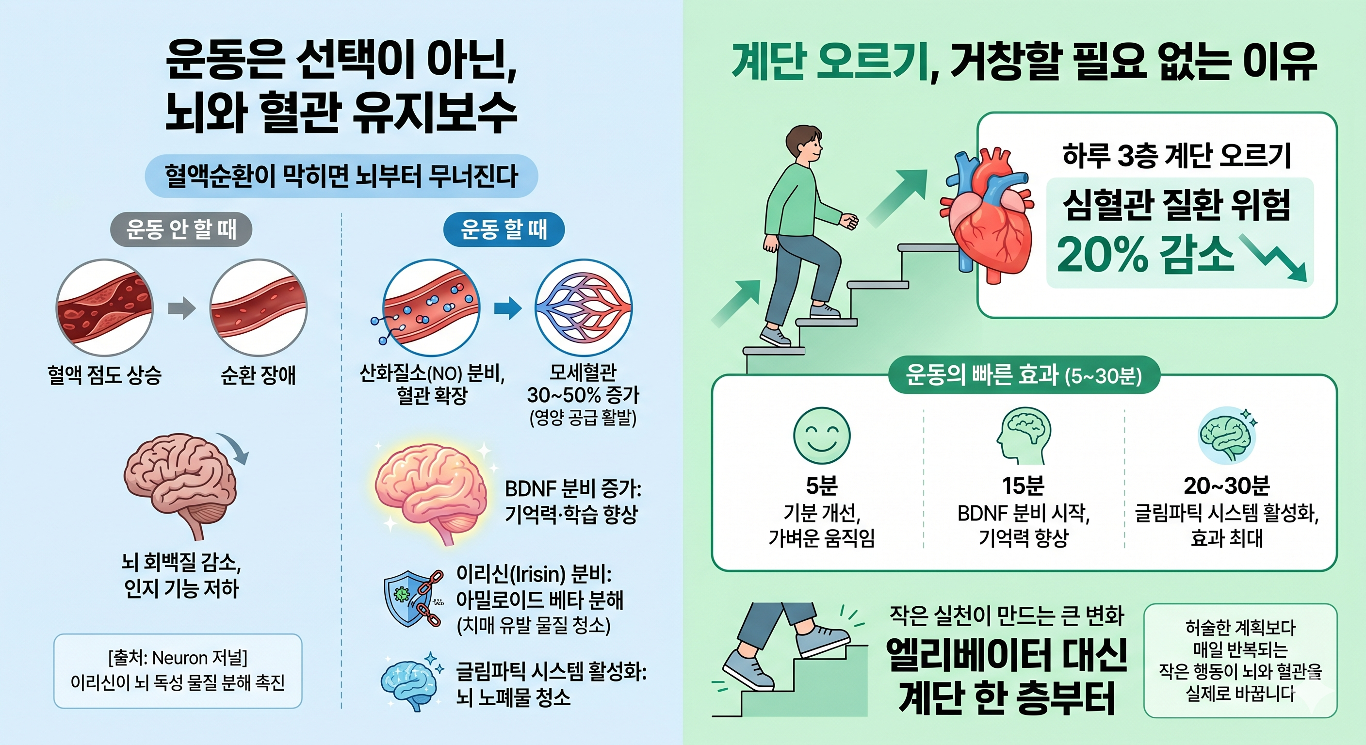 운동과 뇌건강
