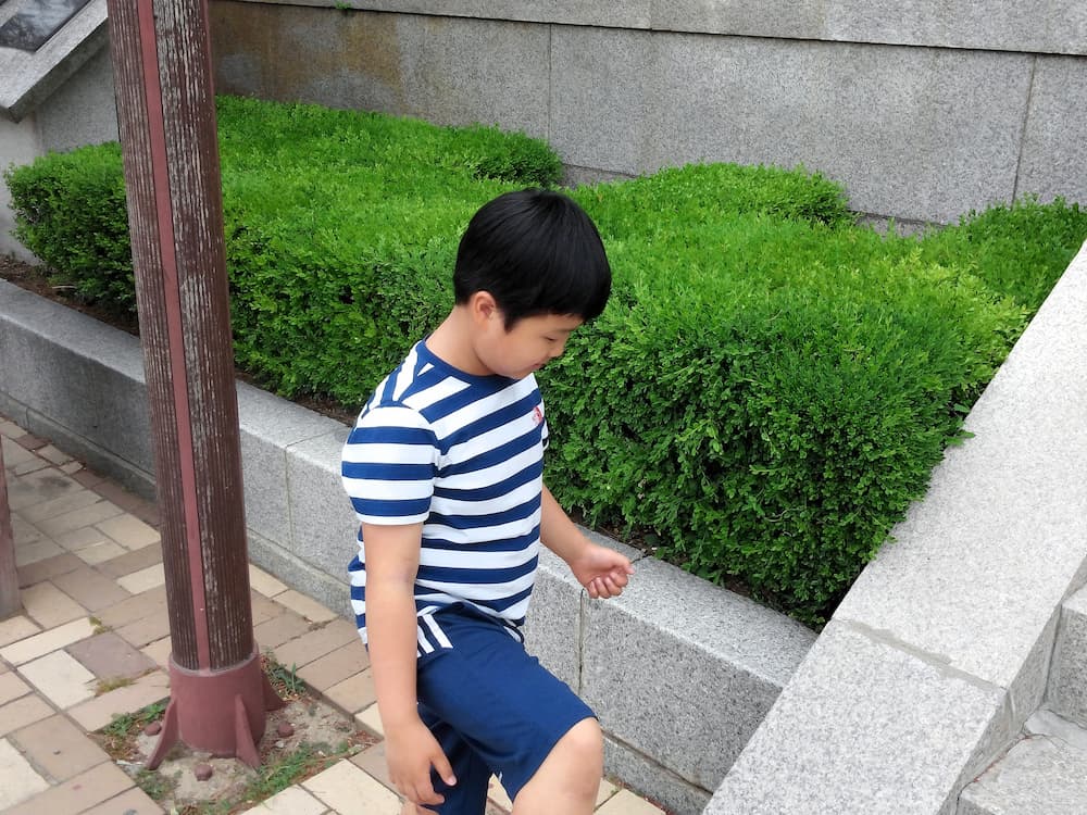 다산유적지 산책로를 걷는 아이 모습