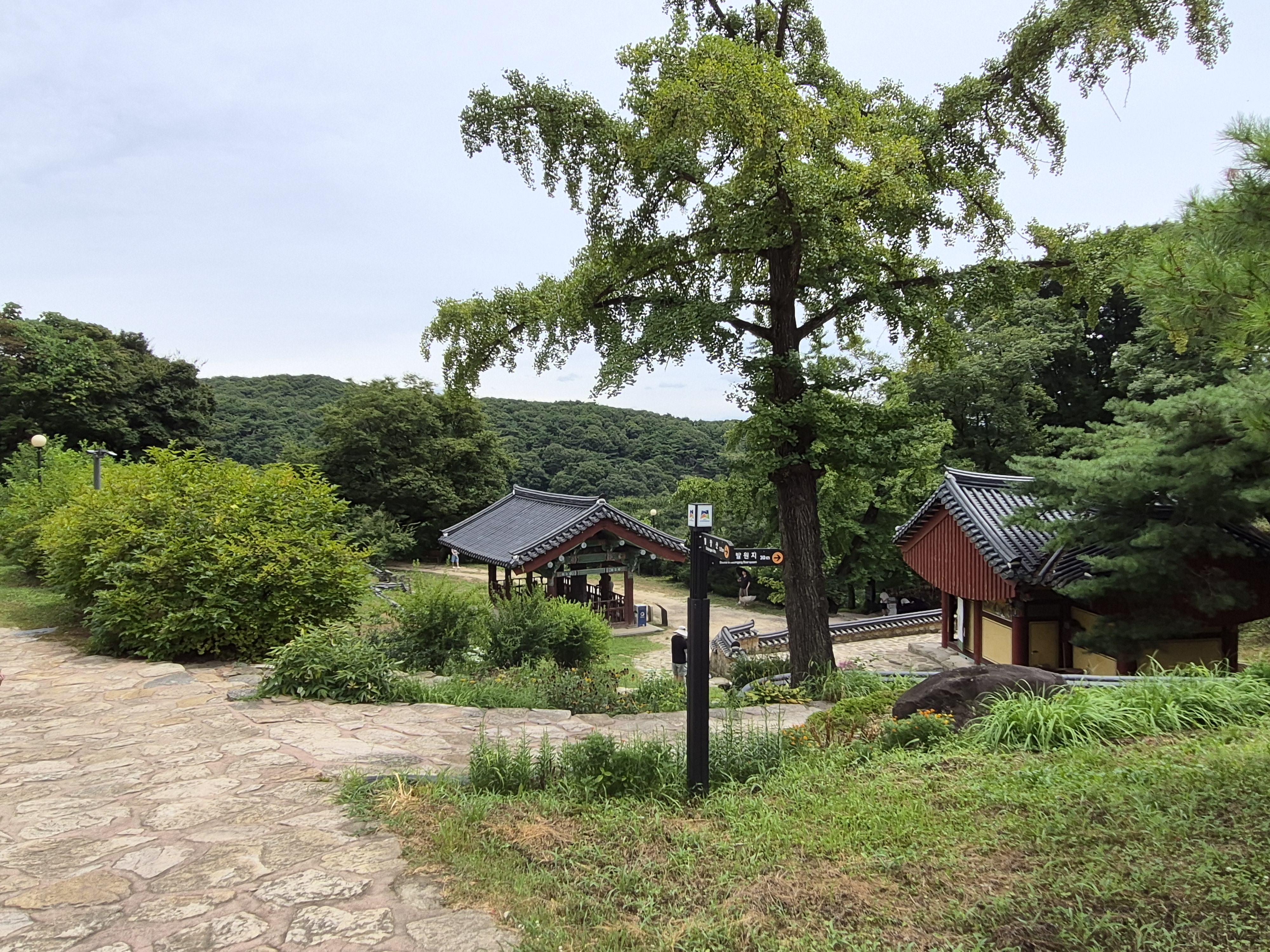 칠장사 둘레는 산책로가 조성되어 있어서 조용히 걷기에 좋은 길 입니다