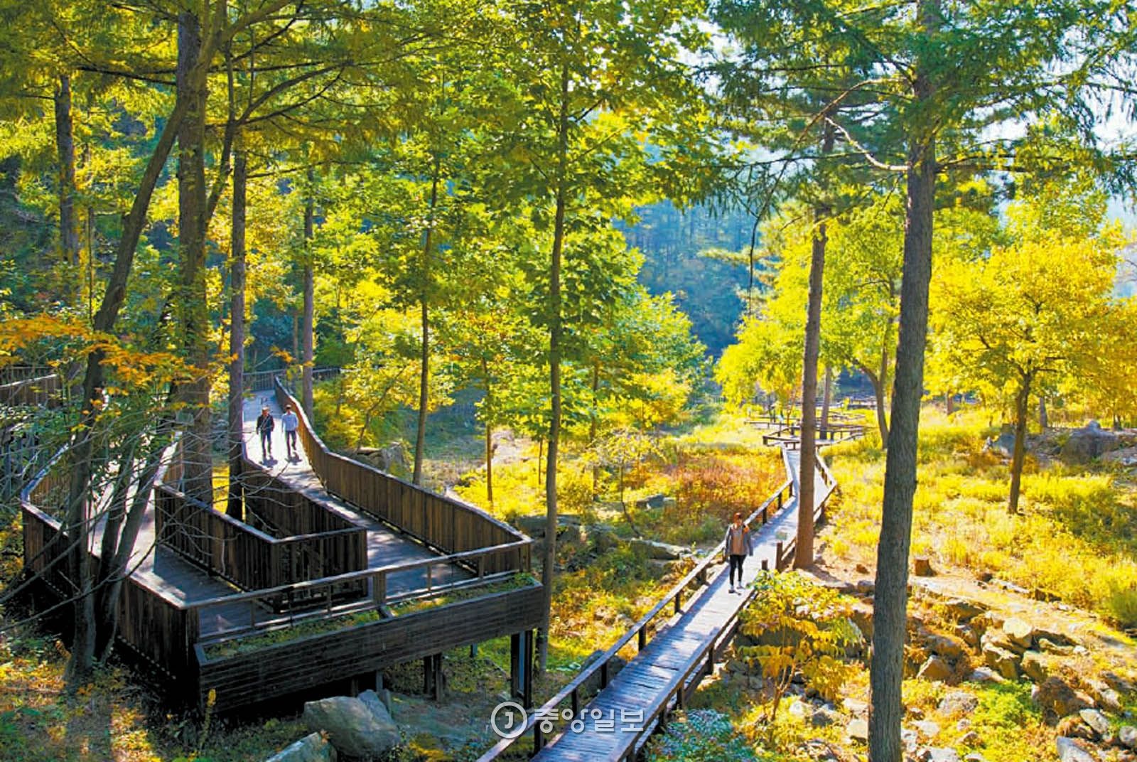 국립자연휴양림