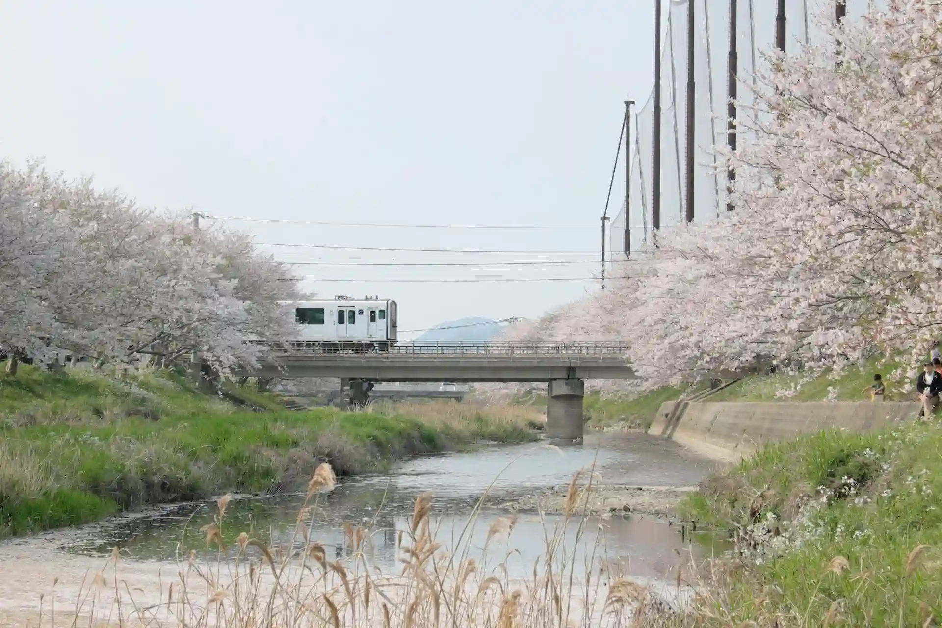 후쿠오카에서만 구입할 수 있는 과자 9선