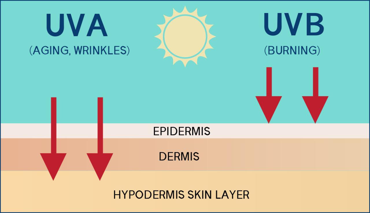 자외선 차단제 원리 자외선 A, B 차단 방법과 기능 설명: SPF, PA, 화학적/물리적 차단, 피부 타입별 선택 가이드까지! 햇빛으로부터 피부를 지켜줄 완벽 가이드!