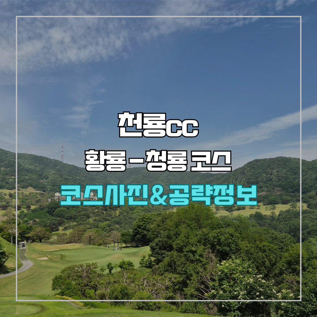 천룡cc 황룡-청룡 코스 사진 및 공략 정보