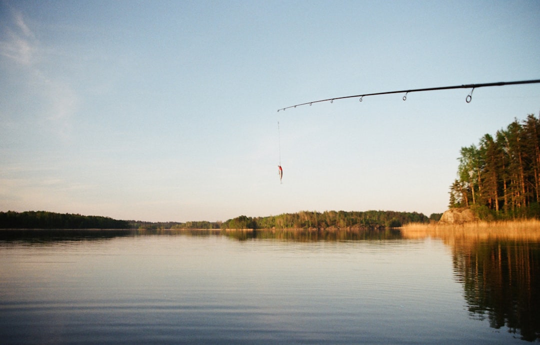 Fishing line