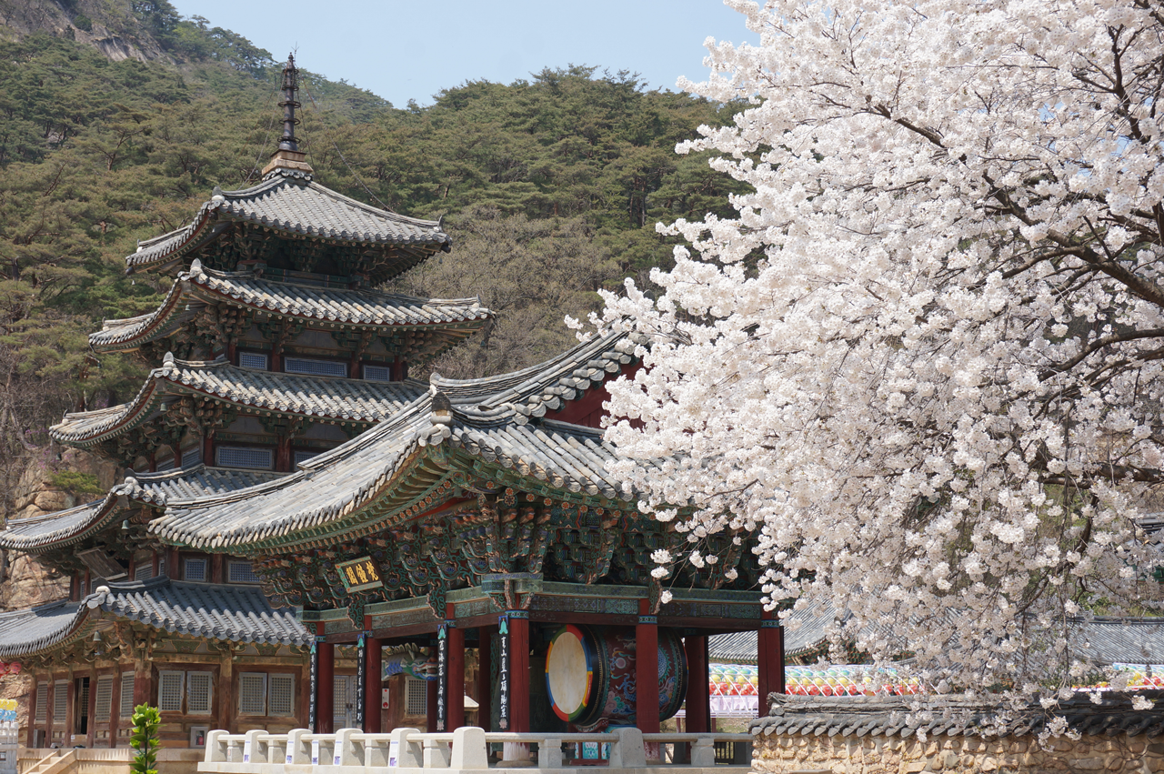 법주사(충북 보은) 이미지