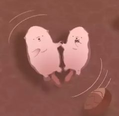 여러가지 하트 여러색깔의 하트의 의미