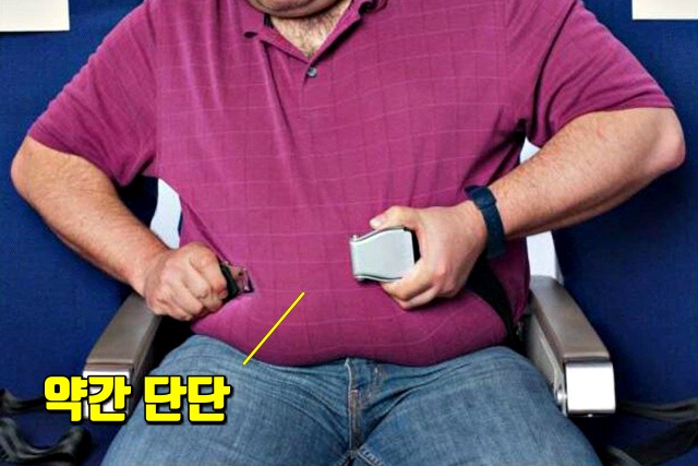 뱃살 내장지방 확인,팁줌