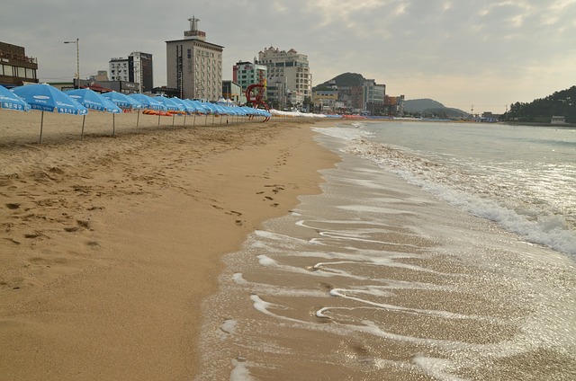 2025 전국 해수욕장 개장일 관련이미지